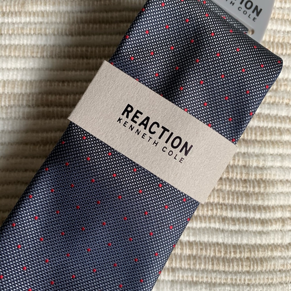 Slate Gray Pindot Red Necktie ReactionKenneth Cole